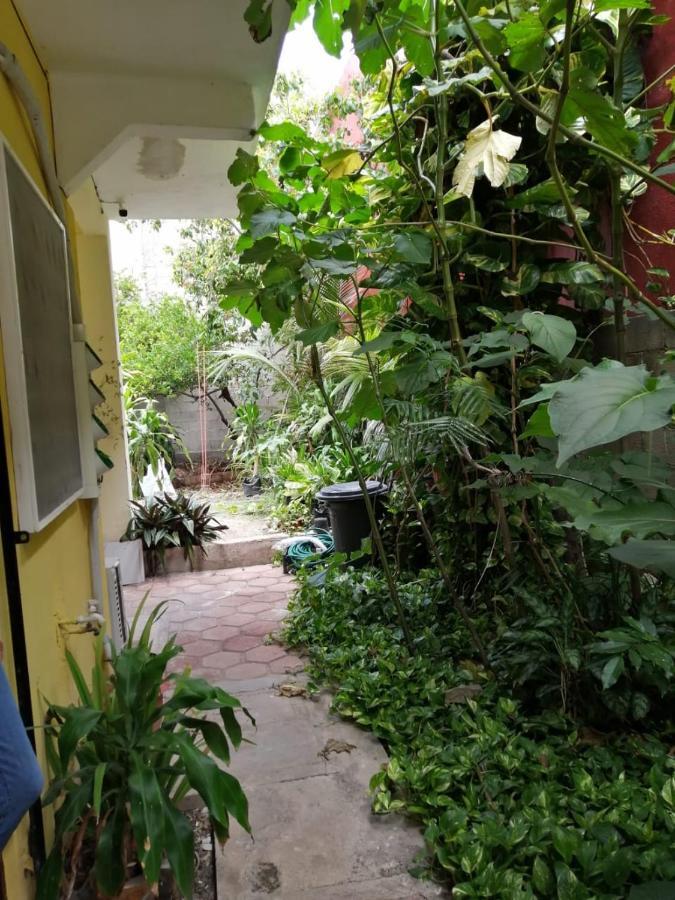 Ferienwohnung Gaviota Playa del Carmen Exterior foto